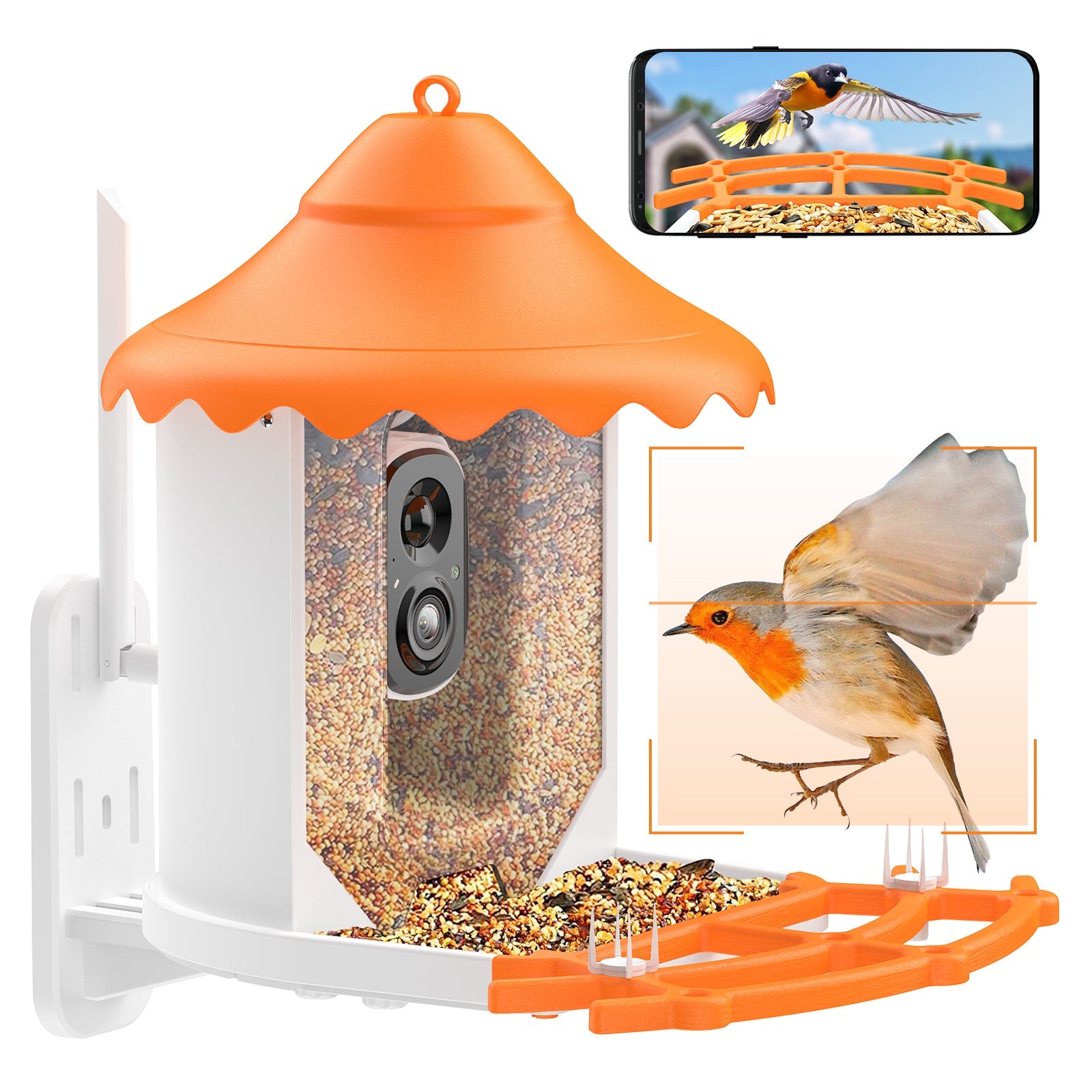 Mangeoire à oiseaux intelligente extérieure avec caméra WiFi 2MP