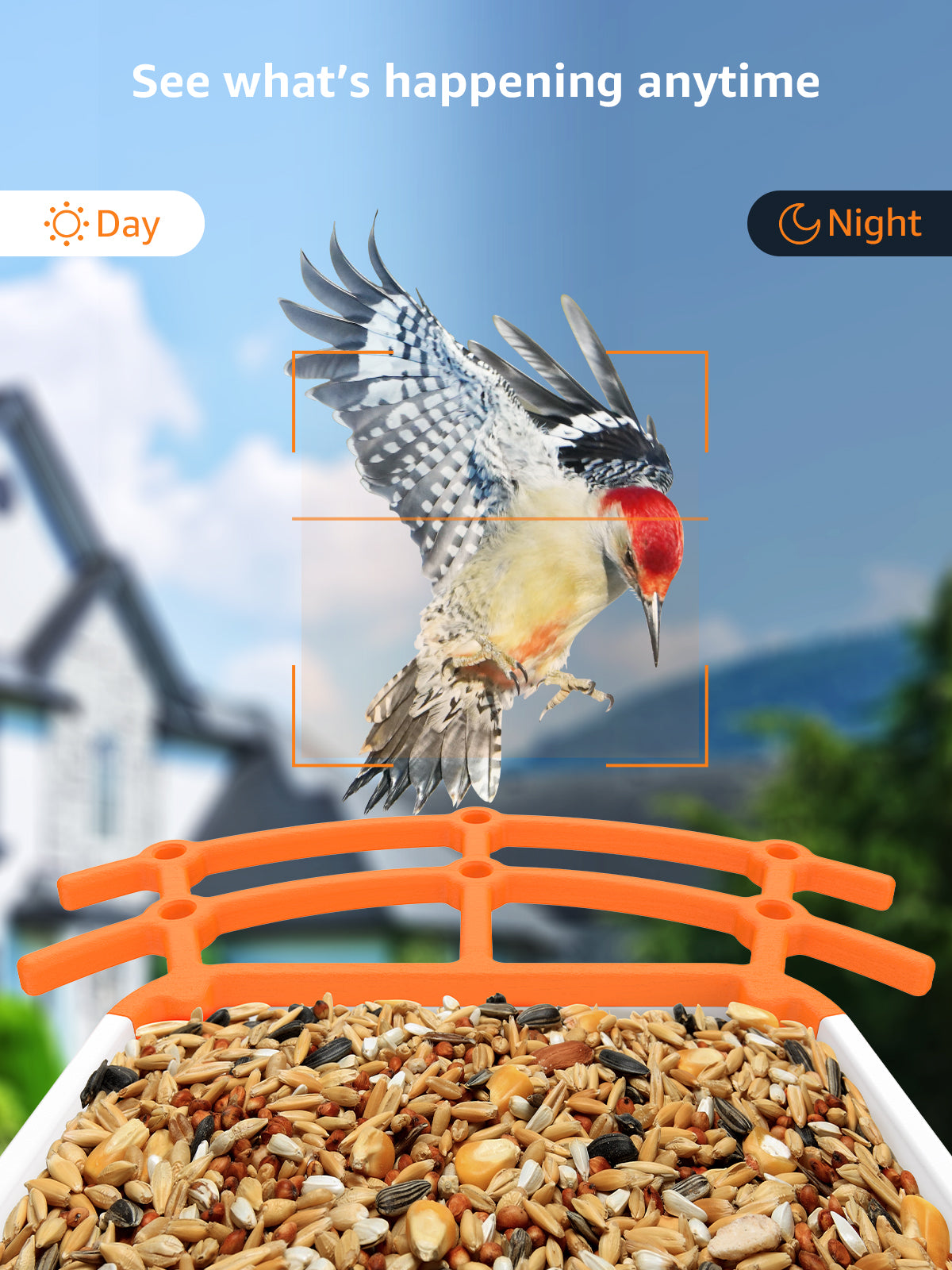 Mangeoire à oiseaux BOME - Caméra et Audio - Mangeoire à oiseaux Smart