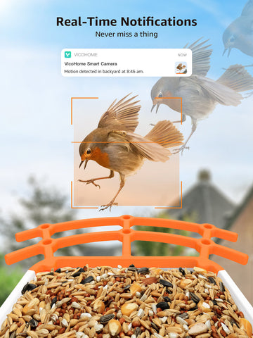 Mangeoire à oiseaux BOME - Caméra et Audio - Mangeoire à oiseaux Smart