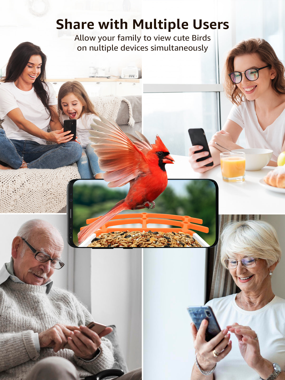 Mangeoire à oiseaux avec caméra Full HD connectée solaire