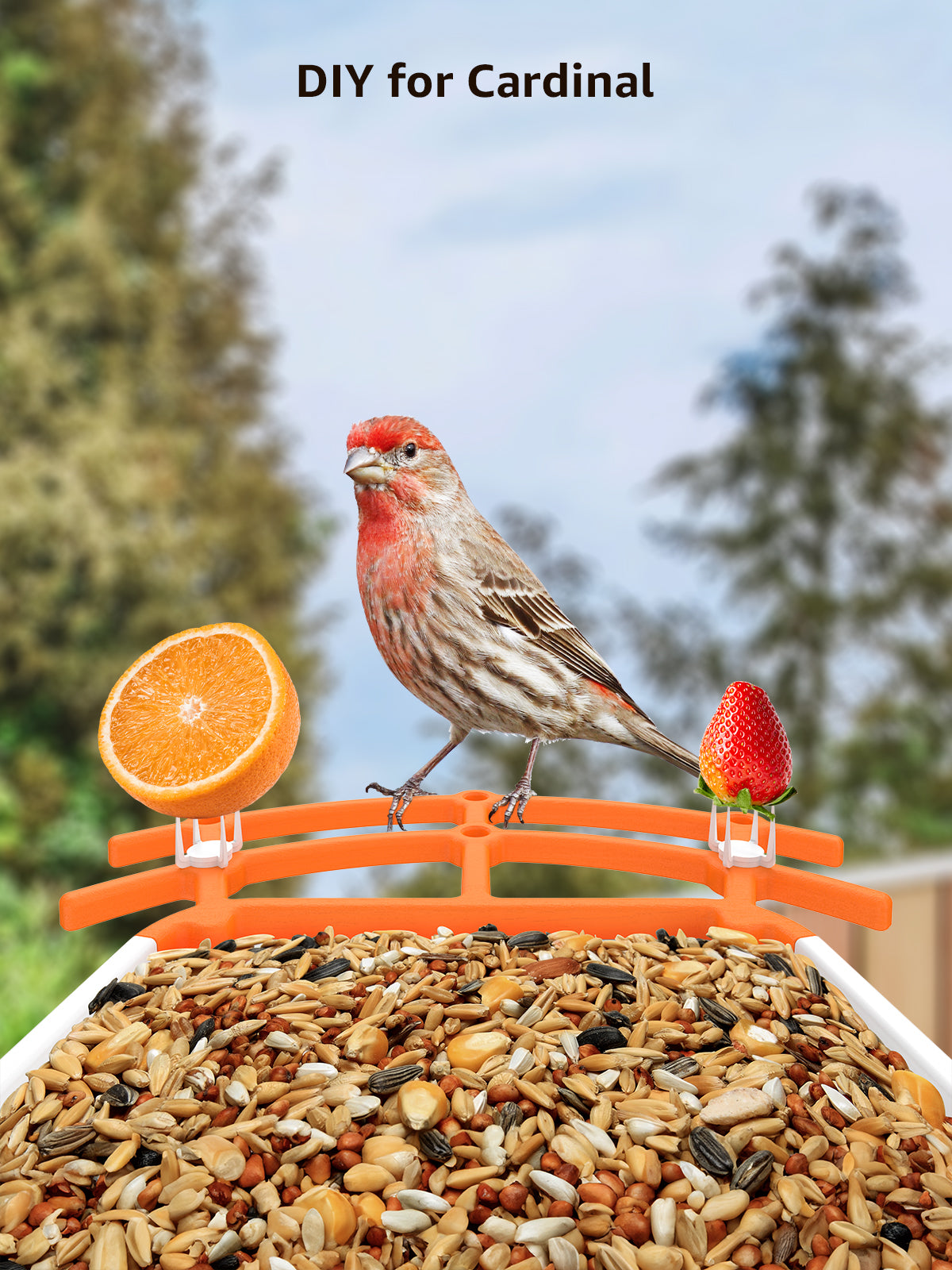 Caméra intelligente pour mangeoire d'oiseaux,1080P ,Extérieure